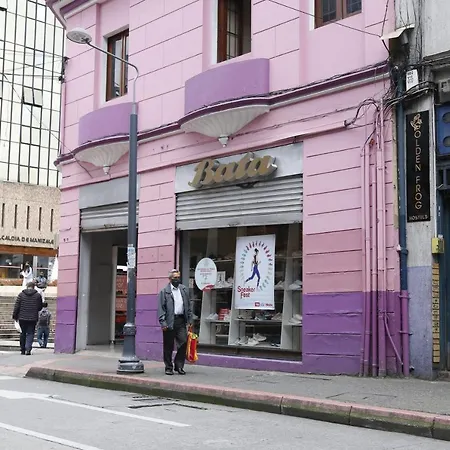 Golden Frog Manizales-3